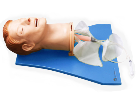 Adult Airway Management Trainer with Board