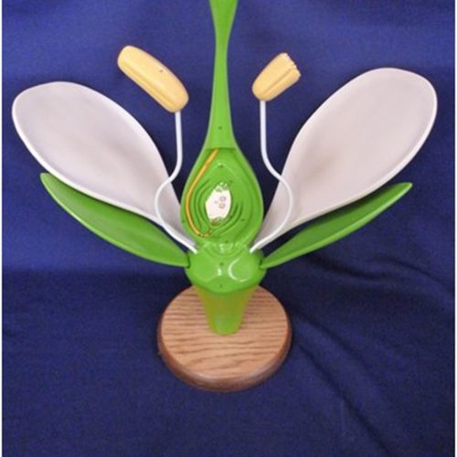FLOWER MODEL