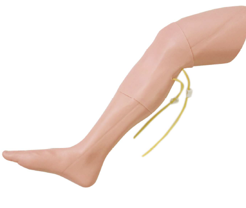 Advanced Adult Intraosseous Simulator