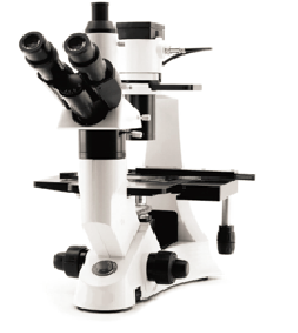 Inverted Microscope With Digital Camera