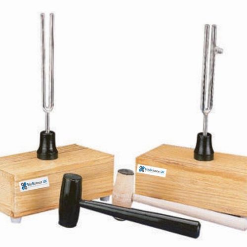 TUNING FORK PAIR WITH RESONANCE BOX