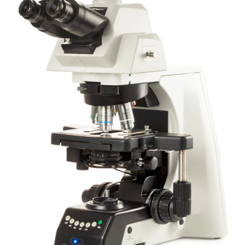 Upright Microscope with Digital Camera , E SEARCH ADV
