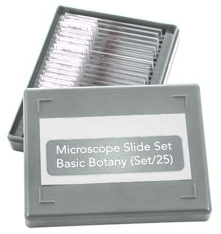 PREPARED SLIDE SET BASIC BOTANY