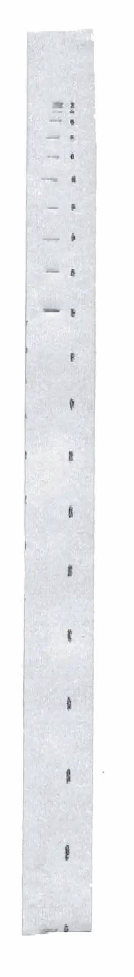 Ticker Tape Timer Paper