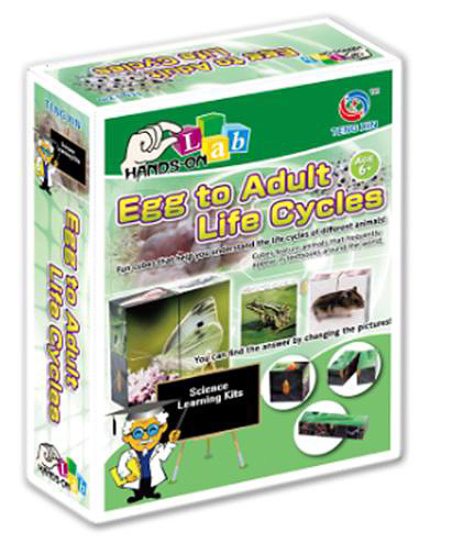 SCIENTIFIC EXPERIMENTS, EGG TO ADULT LIFE CYCLE