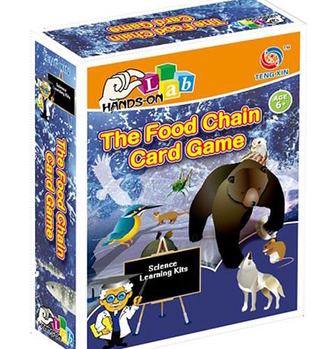 SCIENTIFIC EXPERIMENTS, THE FODD CHAIN CARD GAME