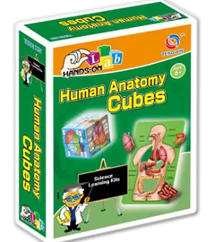 SCIENTIFIC EXPERIMENTS, HUMAN ANATOMY CUBES
