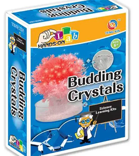SCIENTIFIC EXPERIMENTS, BUDDING CRYSTALS