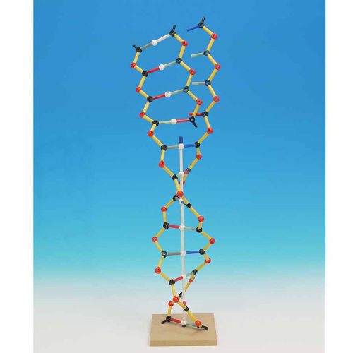 DNA & RNA KIT