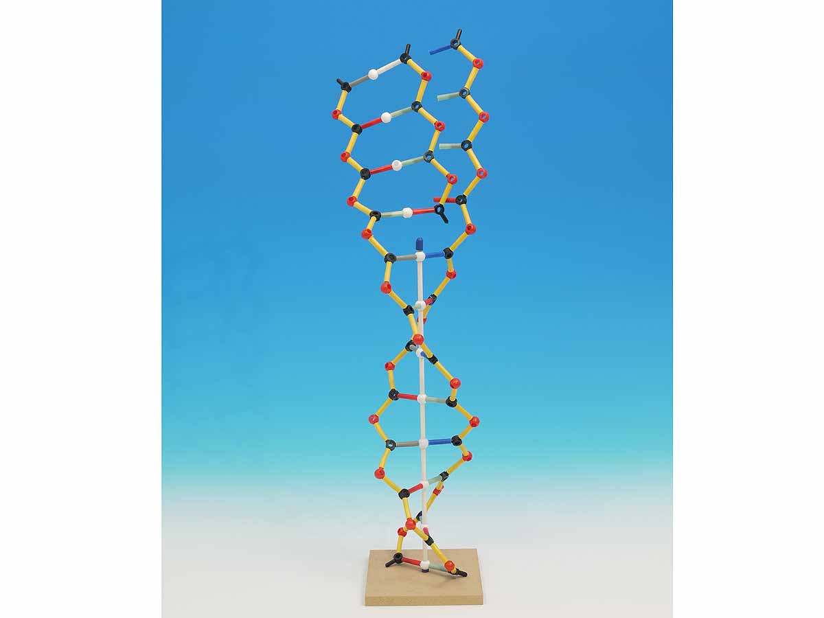 DNA & RNA KIT