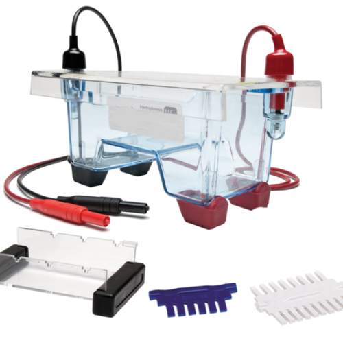 ELECTROPHORESIS APPARATUS