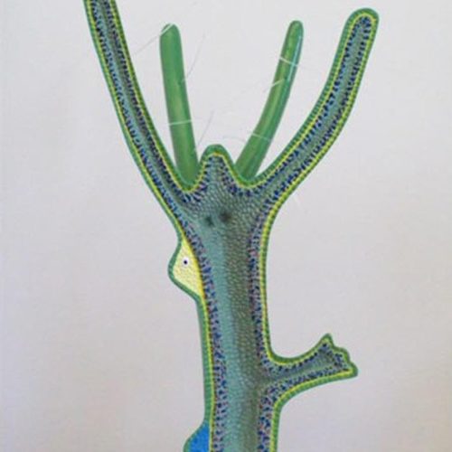 HYDRA MODEL