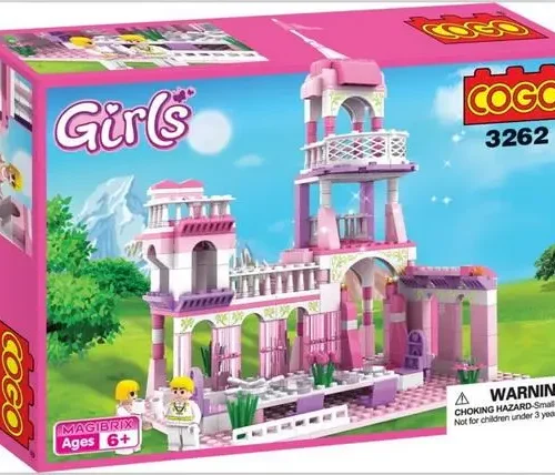 BLOCKS/250PCS