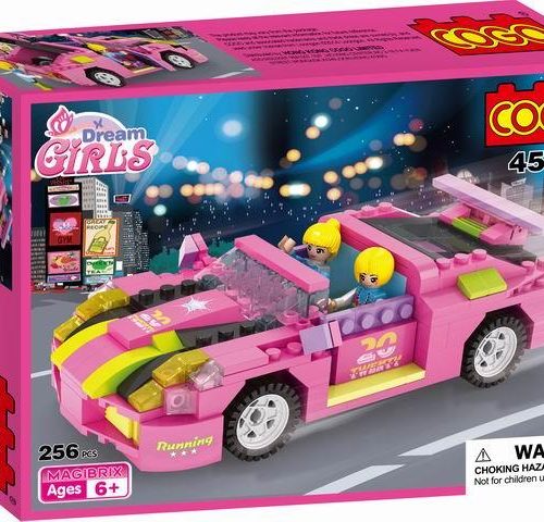 BLOCKS/256PCS