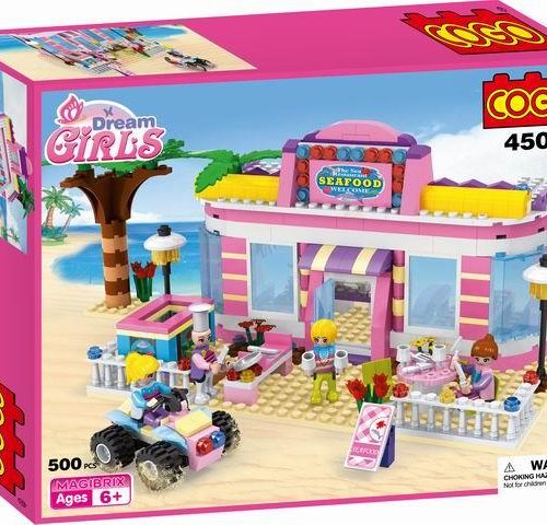 BLOCKS/500PCS