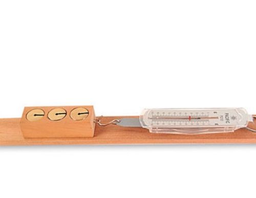FRICTION APPARATUS