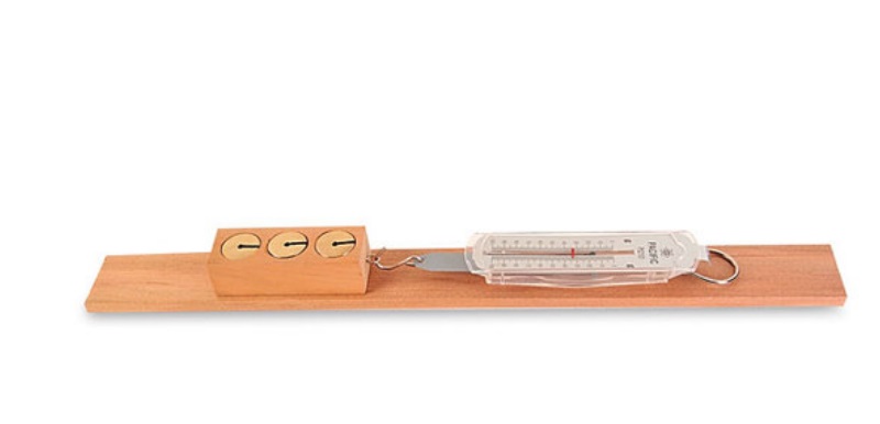 FRICTION APPARATUS