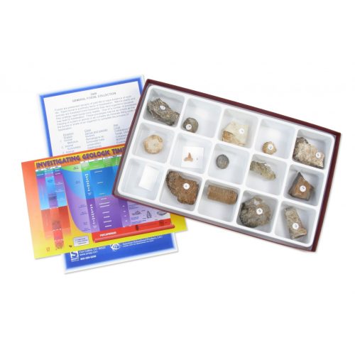 General Fossil Collection