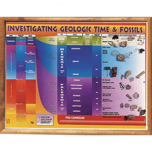 Geological Time and Fossils Chart