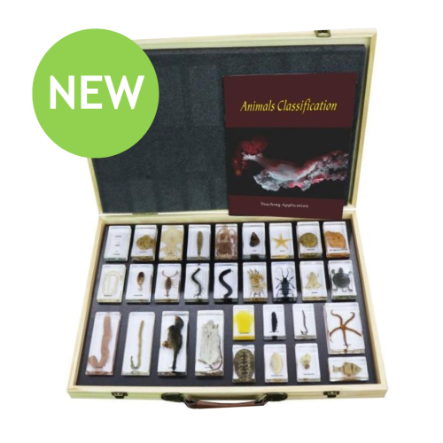 Animal Classification Observation Set