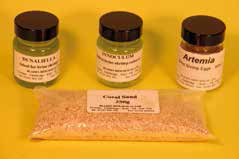 Brine Shrimp Culture Kit