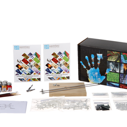 DNA MODEL KIT (WITH PAINT)